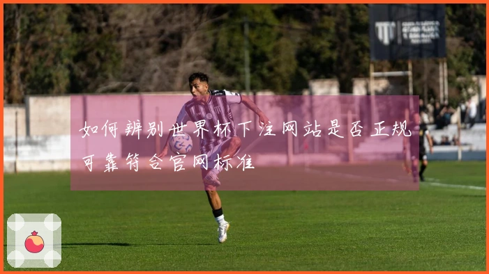 如何辨别世界杯下注网站是否正规可靠符合官网标准