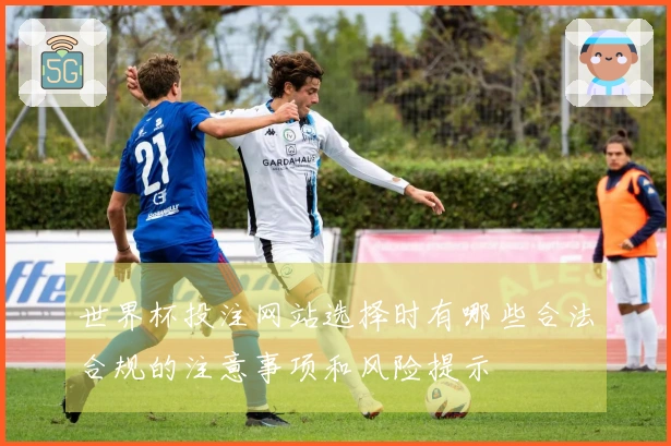 世界杯投注网站选择时有哪些合法合规的注意事项和风险提示