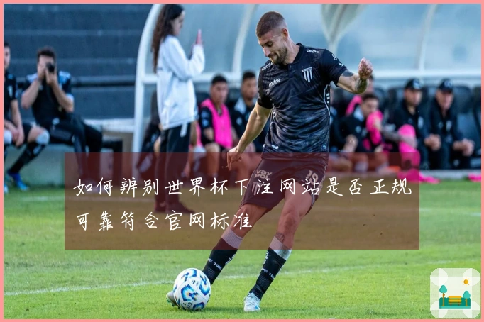 如何辨别世界杯下注网站是否正规可靠符合官网标准