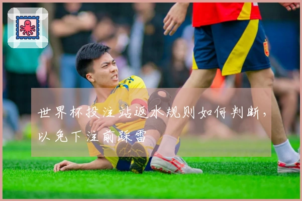 世界杯投注站返水规则如何判断，以免下注前踩雷