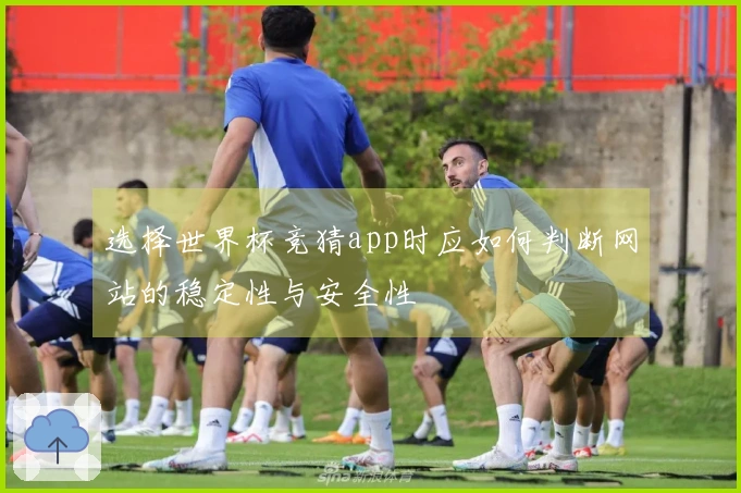 选择世界杯竞猜app时应如何判断网站的稳定性与安全性