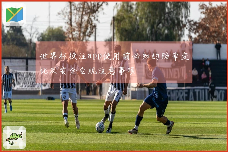世界杯投注app使用前必知的赔率变化及安全合规注意事项